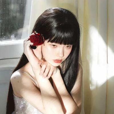 机动战士高达逆A