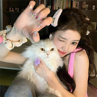 大卫·戈尔的一生